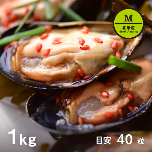 [5108 Select Live Mussels North American XL size 1kg (42-48 shells)]